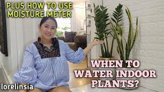 When to Water Indoor Plants/How to Use Moisture Meter/Kelan ba Dapat Magdilig ng Halaman/Lorelin Sia