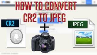 HOW TO CONVERT CR2 TO JPG  FOR FREE  (CANON, SONY, NIKON)
