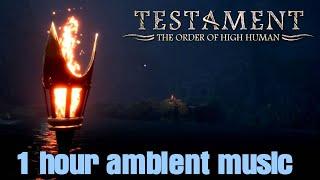 1 hour ambient music from the game Testament: The Order of High Human.