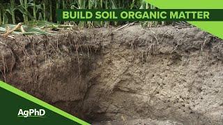 Organic Matter (From Ag PhD Show #1118 - Air Date 9-8-19)