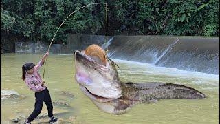 Vietnamese girl fishing for giant fish in Vietnam - ha thi muon