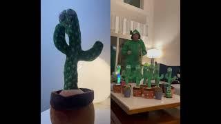 Original Dancing Cactus | Mimic Sound Dancing Cactus Toy | Review Video