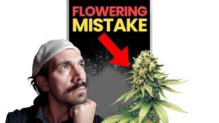 Early Flowering Mistake You Must Avoid!