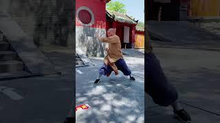 Kung Fu Monk Performing ｜Shaolin Kung Fu