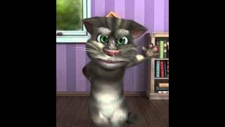 Talking Tom beet boxing and fist pump