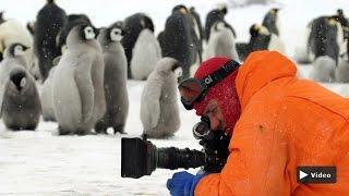 Planet Wissen - Abenteuer Naturfilm