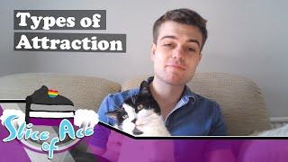 Different Types of Attraction | Slice of Ace