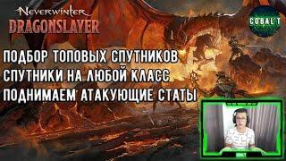 Подборка ТОП Спутников Neverwinter на Атакующие статы Часть №1! Спутники для любого класса!