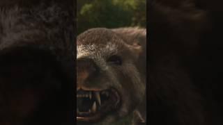 Самый Главный Хищник Эпохи Миоцена | Трейлер #Гиенодон #Hyaenodon #трейлер #реальноенереальное