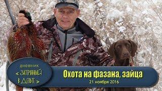 Охота в Астрахани. Фазан, заяц, утка, гусь.