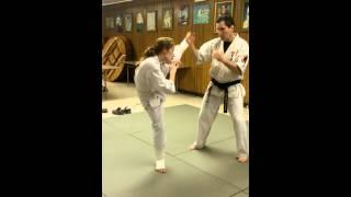 Shihan Martial Arts - Kick Blocking Techniques