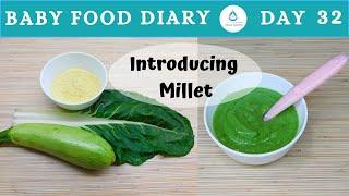 Baby Food | Baby Food Diary | Day 32 | Baby Food Recipe Millet | 6+ Months Baby | Proso Millet