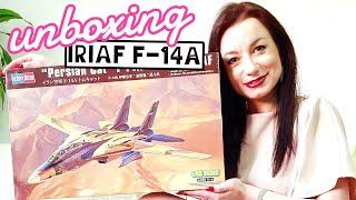 Grumman F-14A Tomcat 1/48 scale model aircraft