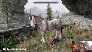 The Blushing Breton - Skyrim Special Edition House Mod (Sneak Peek!)