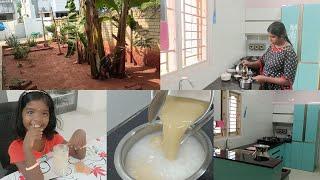 VlogUnder Staircase Bathroom Sizeஇது ரொம்ப Rare Burmese Desert MolaesaGarden CleaningDIML