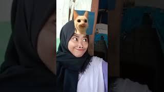 Jedag Jedug CapCut || TikTok Viral [ Meme Cat Test ]