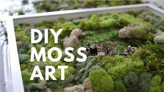 DIY MOSS ART | DONE SIMPLY