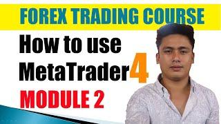Module 2: How to use Metatrader 4 Platform | Actual Live Forex Trading