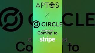 Обновление в Stripe #крипта #криптовалюта #биткоин #paypal #stripe