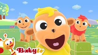 Baa Baa Black sheep  (with Lyrics) | Nursery Rhymes & Songs for Kids  @BabyTV