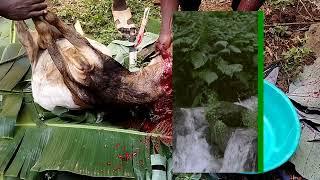 HOW TO SLAUGHTER A GOAT IN AN AFRICAN VILLAGE.  VIEWER DISCRETION ADVISED!!! #travel