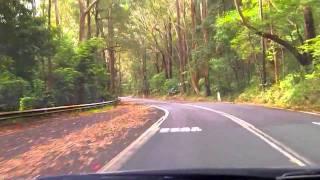 Sydney's Best Driving Roads - Royal National Park