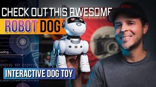 Check Out this Awesome Interactive Smart Robot Dog |  Sonomo | Review