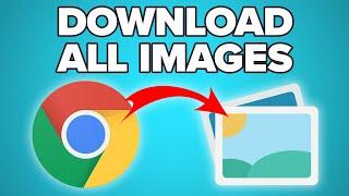 How to Scrape and Download Images from any Website