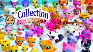 Mega Littlest Pet Shop Collection Tour All Cats Dogs Fairy More Animals LPS Toys Videos Cookieswirlc