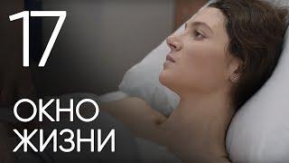 Окно жизни. Серия 17. Мелодрама. Сериал о врачах. Сезон 1. Baby Boxes. Episode 17.