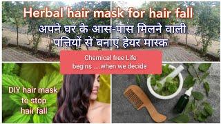 झड़ते बालों के लिए सर्वोत्तम हेयर पैक DIY Homemade hair mask to stop hair fall