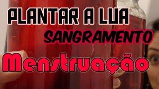 É NATURAL A MULHER SANGRAR!! | Com Deva Geeta