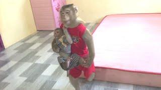 Super Smart Monkey! Jason Takes Care Of Jessa Hug Cuddle Most Surprising Request Mommy