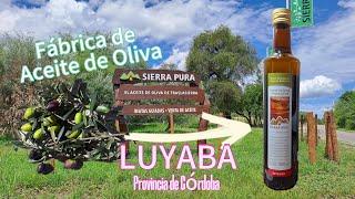 Aceite de Oliva - LUYABA - Provincia de Córdoba