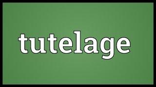Tutelage Meaning