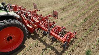 Row-crop cultivator - EINBÖCK CHOPSTAR 5-90 + 10-150  (maize, sunflowers, pumpkin,...)