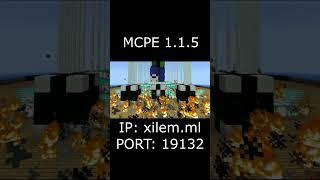 Ютуб против России, видео смотреть через vpn mcpe 1.1.5 ip: xilem.ml port: 19132