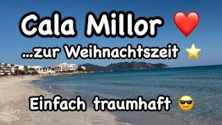 Cala Millor XXL ️ zur Weihnachtszeit ⭐️ Playa genießen  Gastronomie & Geschäfte  frohe Feiertage