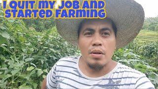 I Quit my Job as OFW and Started Farming | Buhay Probinsya Vlog#266