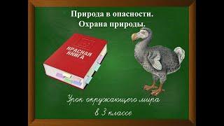 Природа в опасности. Урок окружающего мира в 3 классе