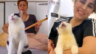 Cat HATES It When Mom Sings The Wrong Song 