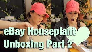 Houseplant Unboxing & Plant Haul - Part 2 - EBAY Plant Unboxing - Wishlist Plants