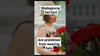 Madagascar hat: fact #shorts #wierdfact