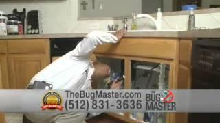 The Bug Master