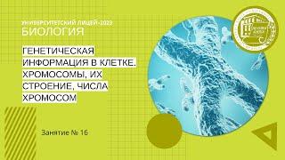 ЕГЭ по биологии. Занятие 16. Генетическая информация в клетке. Хромосомы, их строение, число