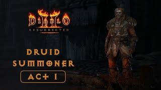 Diablo 2 Resurrected: Druid Summoner Act I - Game Play