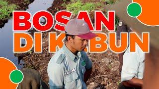 Mengatasi Rasa Bosan Di Kebun