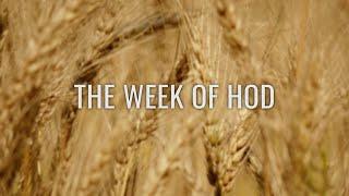 Counting the Omer 5782/2022 - Week Five - Hod (Splendor)