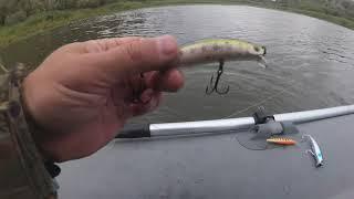 IMA Lipper 90 копия с Али отлично проходит кувшинки и ловит щук! Pontoon21 Dexter Minnow 93 и ДР