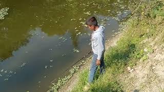 Rural fishing video || New fish catching video || best fishing videos